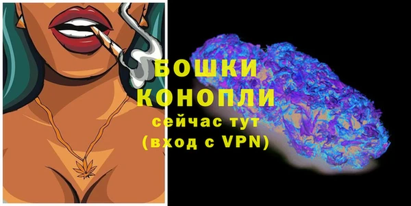 винт Каменка