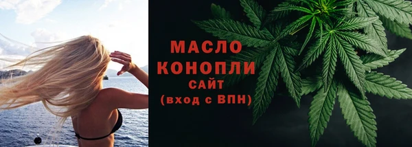 винт Каменка