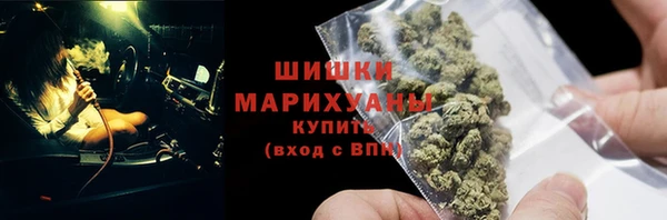 mdpv Каменногорск