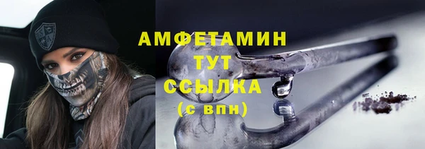 винт Каменка