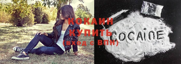 винт Каменка