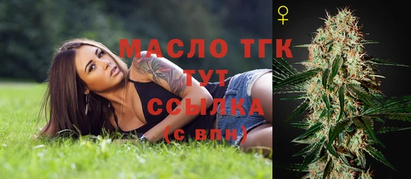 винт Каменка